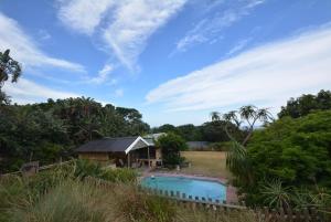 a house with a swimming pool in a yard at IRONWOOD LODGE in Pennington