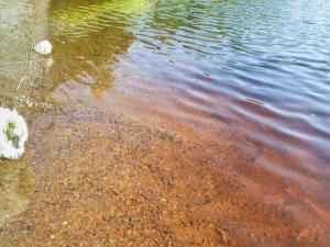 zbiornik wody z brązową substancją w wodzie w obiekcie Holiday Home Pastin mökki by Interhome w mieście Huhtiniemi