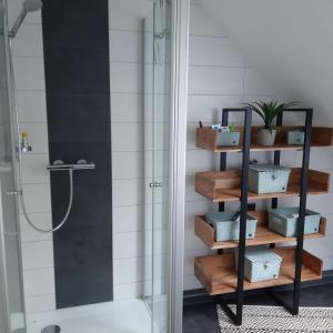 a bathroom with a shower and a shelf with boxes at Ferienwohnungen & Landlust Fulda in Petersberg