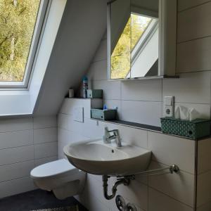 a bathroom with a sink and a toilet at Ferienwohnungen & Landlust Fulda in Petersberg