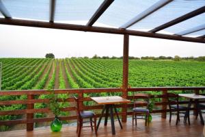 Zahrada ubytování Agriturismo Tenuta Lagala