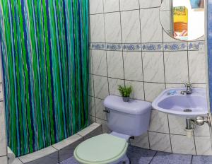 a bathroom with a toilet and a green shower curtain at Tupac Lima Airport in Lima