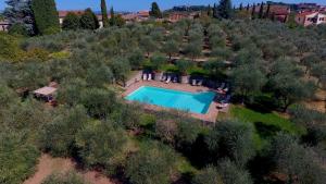 an aerial view of a swimming pool in a field with trees at L'Aia Country Holidays in Siena