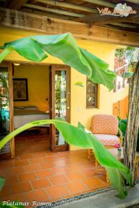 uma sala de estar com um sofá e uma cadeira em Casa Villa Magnolia em La Cruz de Huanacaxtle