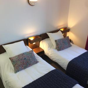 a hotel room with two beds and two pillows at Hôtel Le Dahu in Parigny