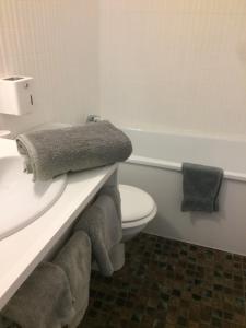 Koupelna v ubytování LOGIS Hôtel LE DAHU