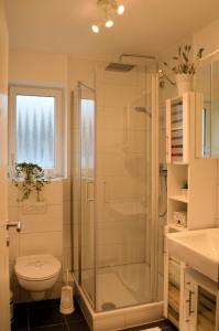 a bathroom with a shower and a toilet at Ferienwohnung Nitsche in Bad Laasphe