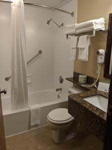 Saint Peter的住宿－聖彼得阿美瑞辛酒店，浴室配有卫生间、浴缸和水槽。