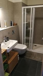 a bathroom with a toilet and a sink and a shower at apartmán Pod Lapkou in Kvilda