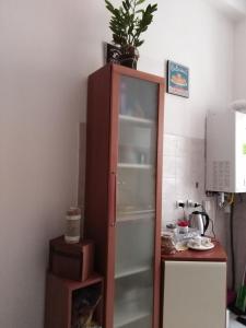 a kitchen with a refrigerator with a plant on top of it at Trastevere Corner Eight in Rome
