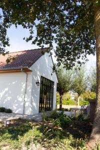 Zahrada ubytování Madelette B&B