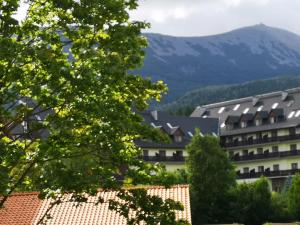 a group of buildings with a mountain in the background at Apartament CARMEN in Karpacz