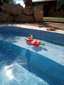 peperoni caldi giocattolo in piscina di Casa del artista ad Arona