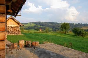 a view from the outside of a log cabin with a green field at Moja chata do wynajęcia in Istebna