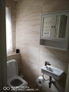 a bathroom with a toilet and a sink and a mirror at RICHFLO Holiday Rentals in Manchester