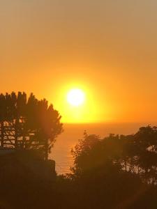 a sunset over the ocean with trees in the foreground at Silver Coast Vacation - Your Unique Inn in Lourinhã