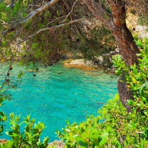a river with blue water and trees in the foreground at Apartmani Val in Pula