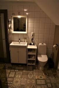 ein Badezimmer mit Waschbecken und Toilette in der Unterkunft Dzērves in Araiši