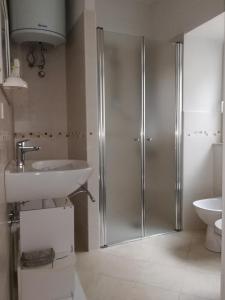 a bathroom with a shower and a sink at Appartamento da Pino in Baselga di Pinè