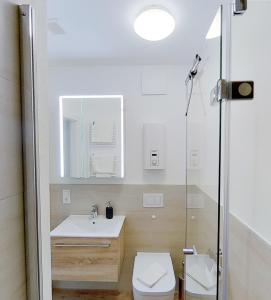 ein Bad mit einem WC, einem Waschbecken und einer Dusche in der Unterkunft FeWo Trier in Trier