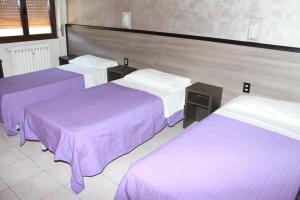 Postel nebo postele na pokoji v ubytování Hotel Salus