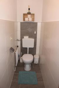 a small bathroom with a toilet and a green rug at Ferienhof Schaubmeier in Klaffer am Hochficht