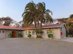 a building with a palm tree in front of it at Mijn Kitchen Coffee Shop and B&B in Blantyre