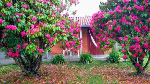 duas árvores com flores cor-de-rosa em frente a uma casa em Recanto da Natureza, chalé em Gonçalves