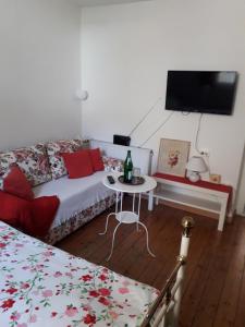 um quarto com um sofá e uma mesa com uma televisão em Ferienapartment Luise em Reil