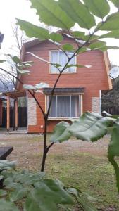 Un jardín fuera de Cabañas el arrayan neltume
