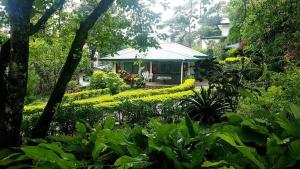 Jabbitos Baguio Transient House 2 في باغيو: حديقة بها منزل ذو سقف أخضر