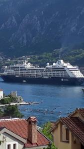 a cruise ship in a body of water at Apartments Dionis in Kotor