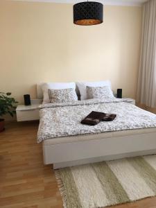 a bedroom with a white bed with a rug at Apartment In The Garden in Držovice