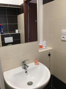 a bathroom with a white sink and a mirror at Apartment In The Garden in Držovice