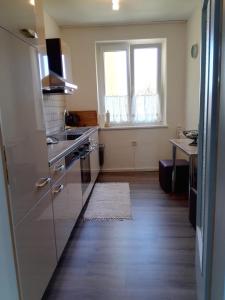 a kitchen with stainless steel appliances and a large window at Ferienwohnung Delphin in Schönwald