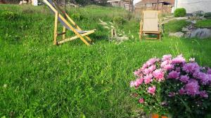 A garden outside Chalupa Levandula