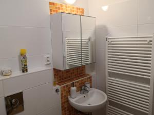 Koupelna v ubytování Apartment Čeladná