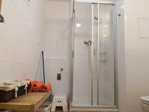 Koupelna v ubytování Apartment Čeladná