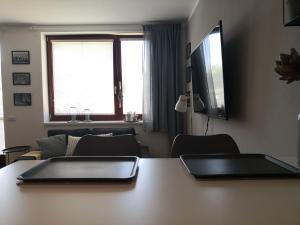TV a/nebo společenská místnost v ubytování Apartment Čeladná
