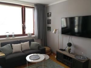 TV a/nebo společenská místnost v ubytování Apartment Čeladná
