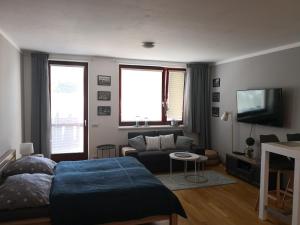TV a/nebo společenská místnost v ubytování Apartment Čeladná