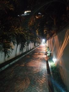 eine Gasse mit Palmen und einer Wand in der Nacht in der Unterkunft Ayodya Suites Nyali in Nyali