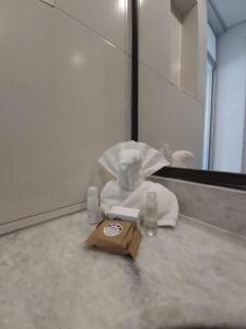 瓦哈卡市欧若拉酒店的浴室提供毛巾和镜子