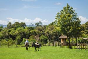 Foto da galeria de Ecoland em Igrejinha