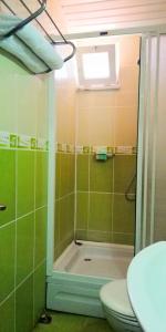 a green bathroom with a toilet and a shower at Side Erenler Hotel in Side