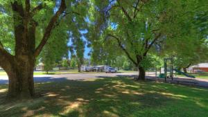 a car parked on the side of a road next to a tree at Myrtleford Holiday Park in Myrtleford