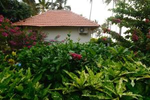 A garden outside Magnolia Guesthouse Varkala