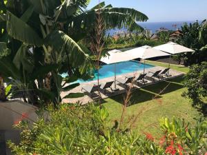 una piscina con sillas y sombrillas y el océano en Bordal Houses en Funchal