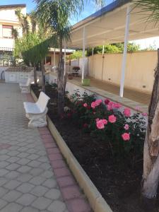 サン・レオーネにあるVilla Martaのピンクの花の咲く庭園のベンチの列