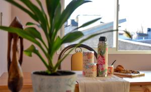 eine Topfpflanze auf einem Tisch neben einer Pflanze in der Unterkunft Presidencia Departamentos in Tupungato